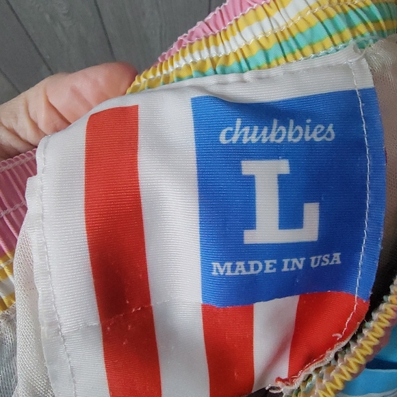 Chubbies Multicolor Striped Men's Swim Trunks - Picture 4 of 4